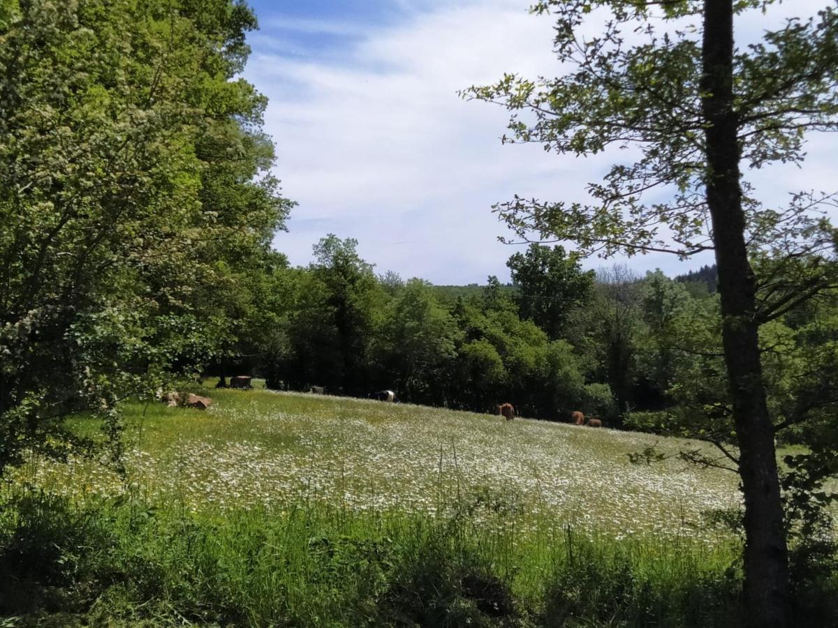 Carazen , Caravane Chauffee Saint-Sylvain-Bellegarde المظهر الخارجي الصورة